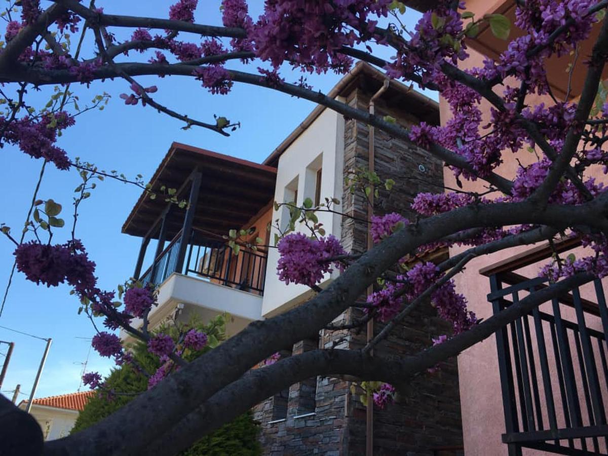 Nea Roda Apartments Exterior foto